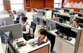 政企民共商，服务再升级——市区政务服务局召开企业咨询服务专题调研会